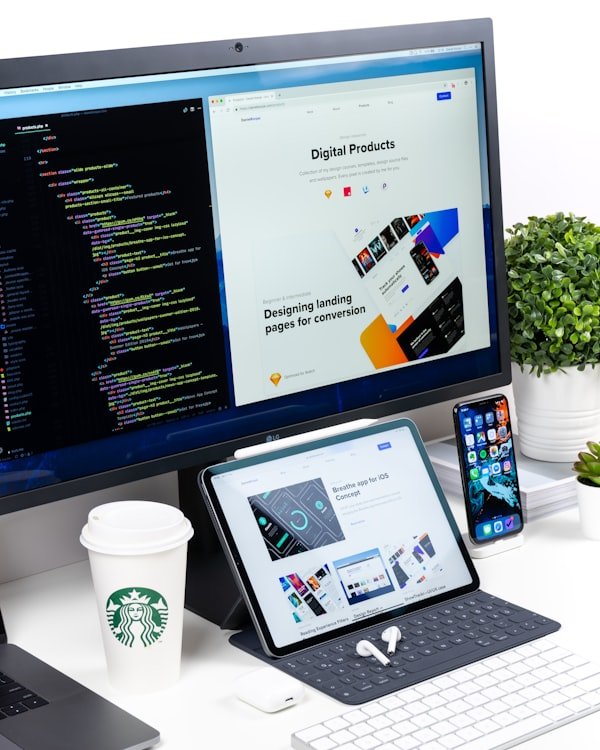 Web Dev Cost